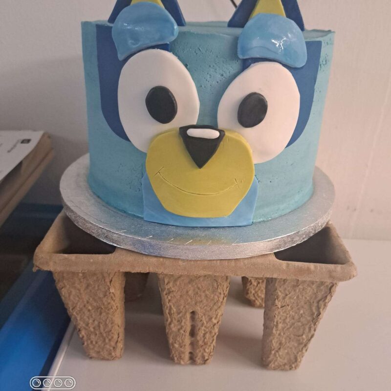 Bluey cake in chocolate flavour -8"