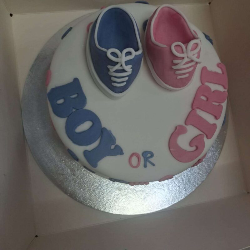 GENDER REVEALCAKE 8"