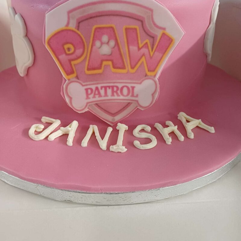 Skye icing cake in fondant cake