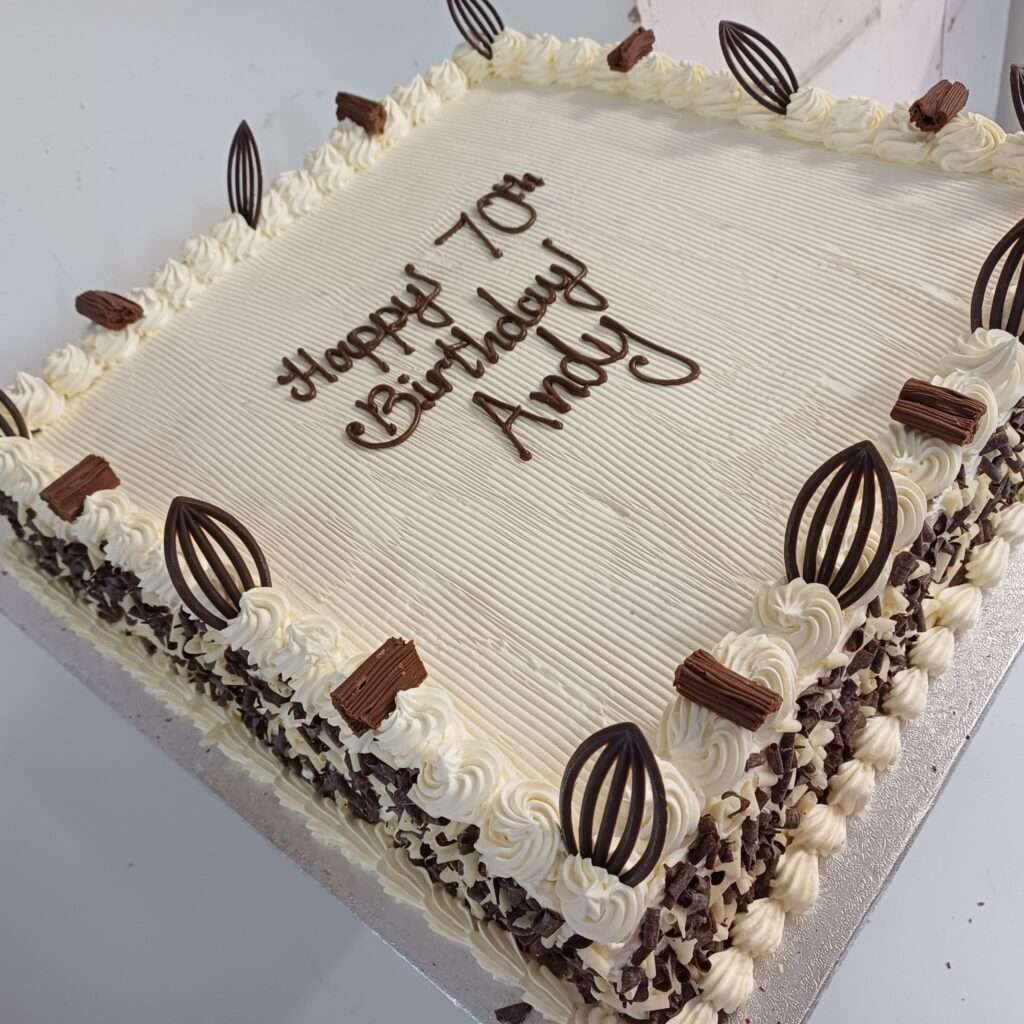 SQ6-Big Party Cake